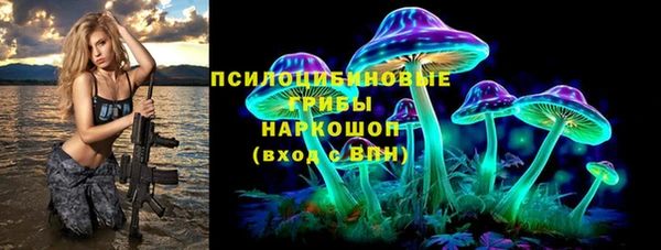 герыч Алексин