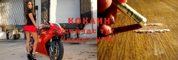 СК Алзамай