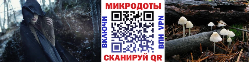 OMG как войти  Краснознаменск  Галлюциногенные грибы Magic Shrooms 
