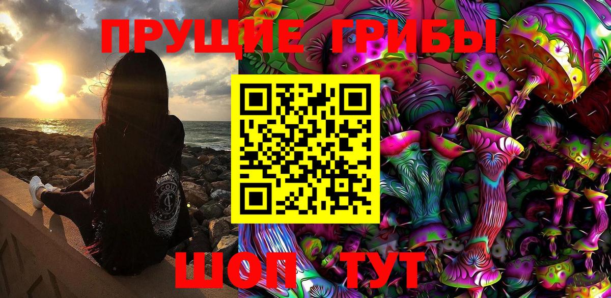 Краснознаменск  Галлюциногенные грибы Psilocybine cubensis  Вход с VPN 