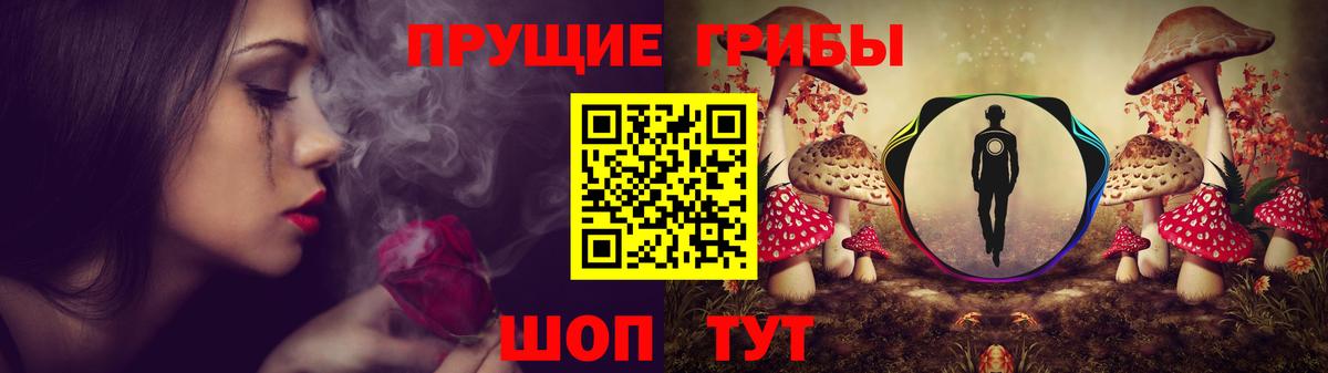 Галлюциногенные грибы MAGIC MUSHROOMS Краснознаменск