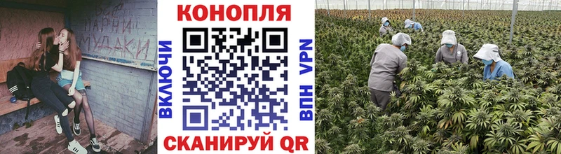 Шишки марихуана SATIVA & INDICA Краснознаменск
